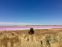 IMG_8745