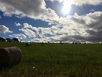 IMG_8755