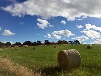 IMG_8757