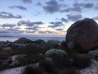 IMG_8775