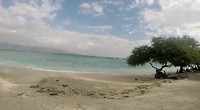 VID-20190609-WA0104