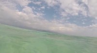VID-20190609-WA0108