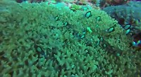 VID-20190609-WA0092
