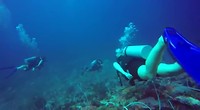 VID-20190609-WA0088