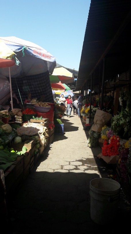 Markt