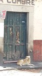 20180722_092429