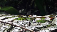20180729_090927