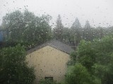 IMG_0044