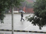 IMG_0050