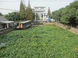 IMG_0277