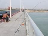 IMG_1075