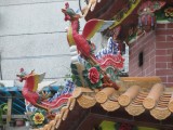 IMG_1165