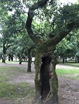Hoelang nog te gaan?