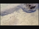 Vissen kan je zo filmen in de zee