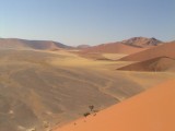 Dune 45