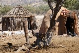 Bushmen