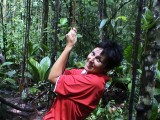 Canaima