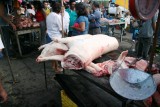 Caripe