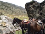El Paramo