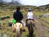 El paramo