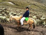 El paramo
