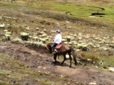 El Paramo