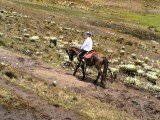 El paramo