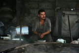 Koffieplantage