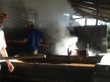 koffieplantage