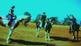 Ritje te paard