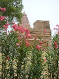 gangaikondacholapuram tempel