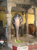 olifant aan entree Rockfort