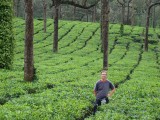 theeplantages