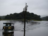 Periyar Wildlife boottocht