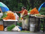 langs de weg in Munnar