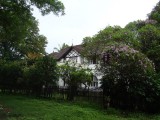 Wandeling in fort cochin