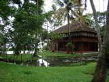 coconut lagoon