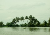 backwaters