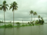 backwaters