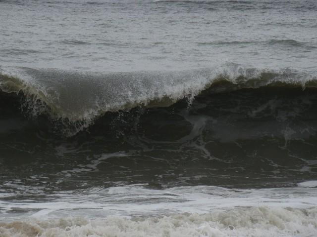 Marari beach