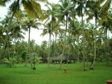 Marari resort tuin