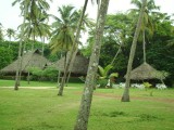 Marari resort tuin