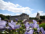 Amboise 045