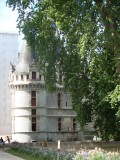 DSC09513