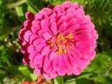 DSC09515