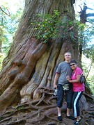 Meares Island 4