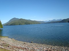 Grice Bay Pacific Rim