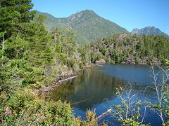 Kennedy Lake