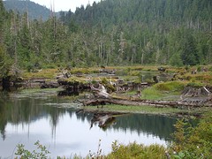 Preudhomme Lake 3