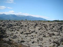 Lavabed 1